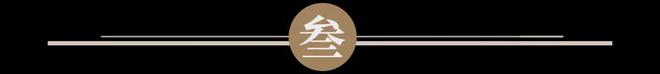 利伟的“1米宽1000米深”经营哲学 国潮风云九游会J9对话可靠股份：专注养老行业20余年金(图3)